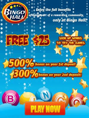 usa bingo bonus codes.